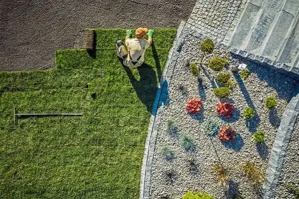 Landscape Installation Landscape Installation